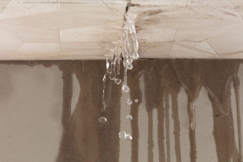 Roof Leak repair